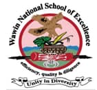 Wawin NSOE Logo